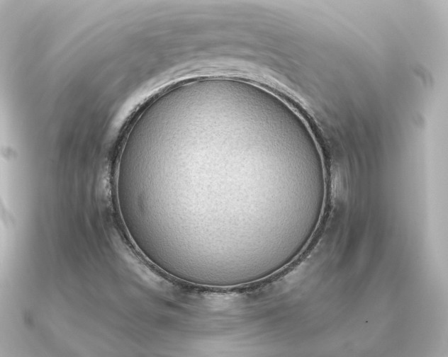 X0000091231498200708091408