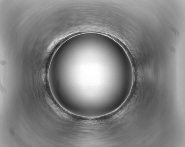 X0000091231499200708091408