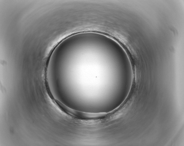 X0000091231500200708091408