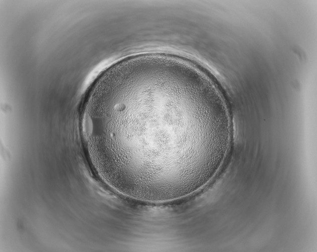 X0000091231501200708091408