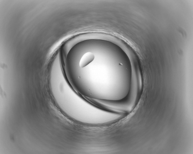X0000091231502200708091408