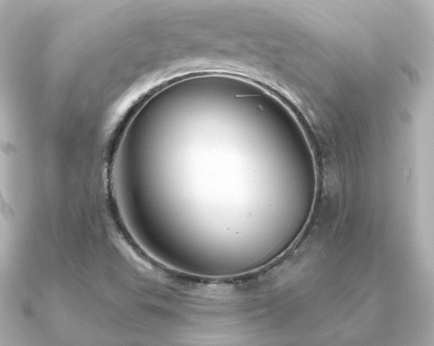 X0000091231503200708091408