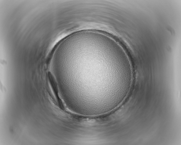 X0000091231505200708091408