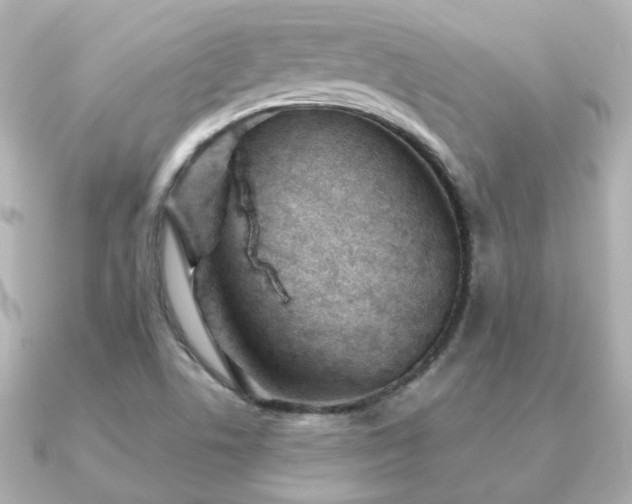 X0000091231506200708091408