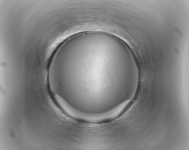 X0000091231507200708091408