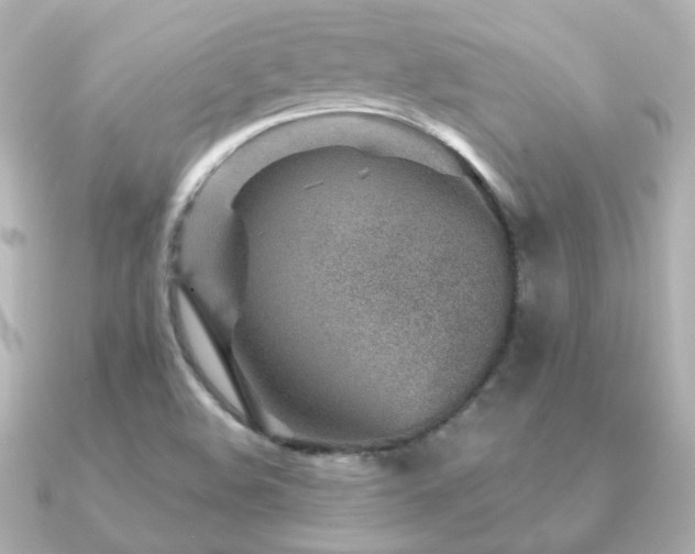 X0000091231508200708091408