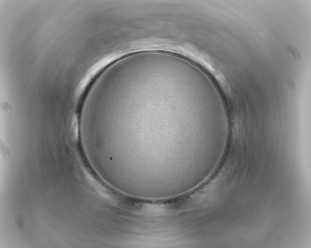 X0000091231509200708091408
