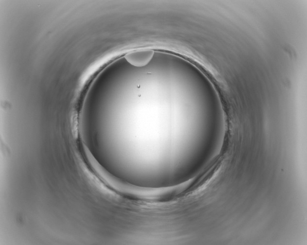 X0000091231510200708091408