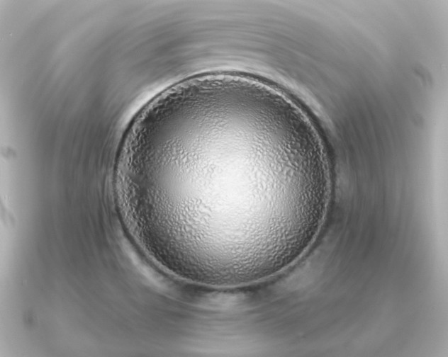 X0000091231513200708091408