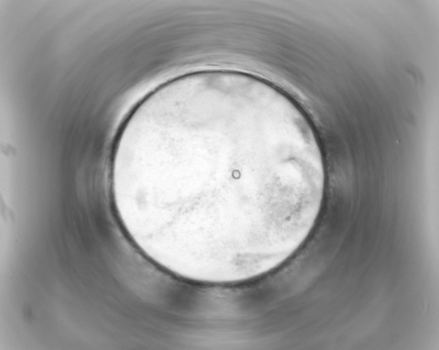 X0000091231514200708091408