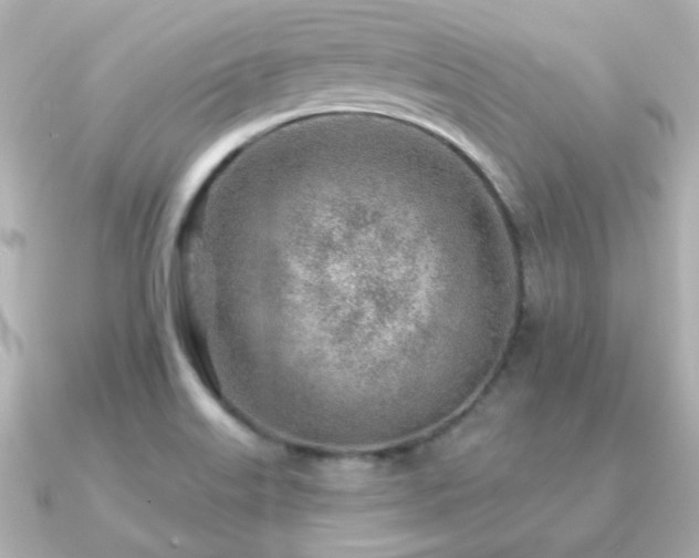 X0000091231515200708091408