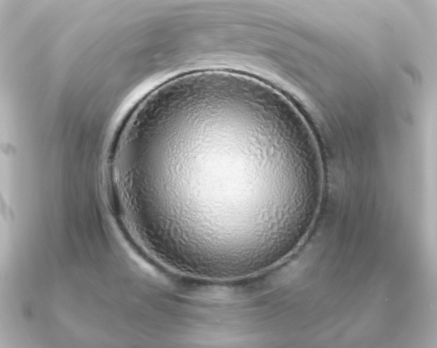 X0000091231517200708091408