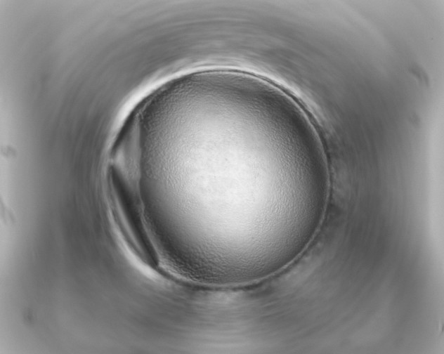 X0000091231519200708091408