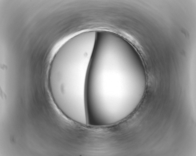 X0000091231520200708091408