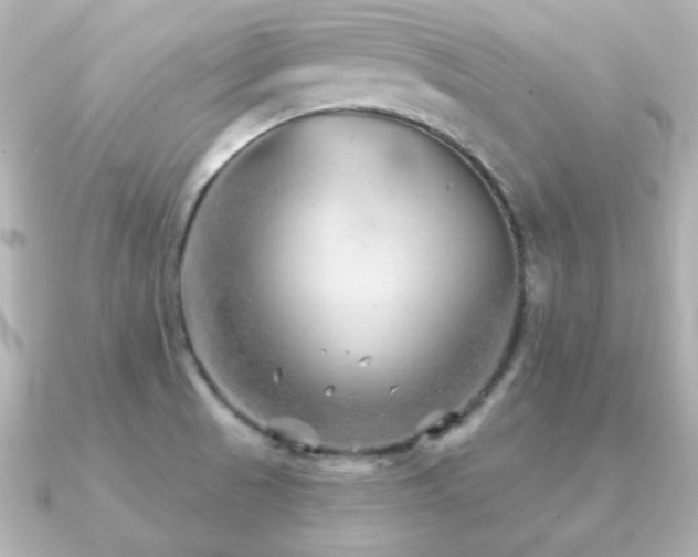 X0000091231521200708091408