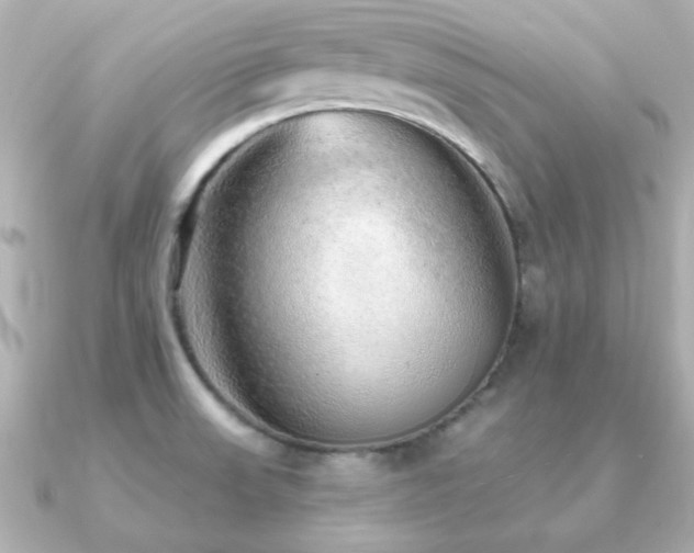 X0000091231523200708091408