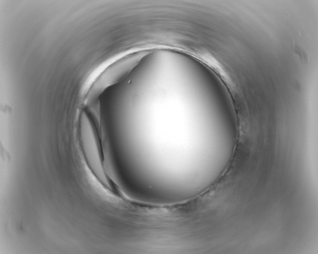 X0000091231524200708091408