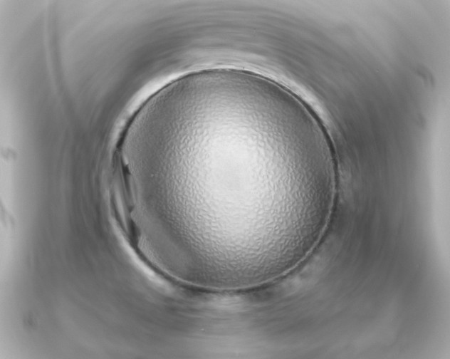 X0000091231525200708091408