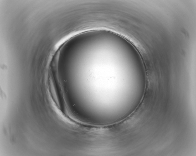 X0000091231526200708091409