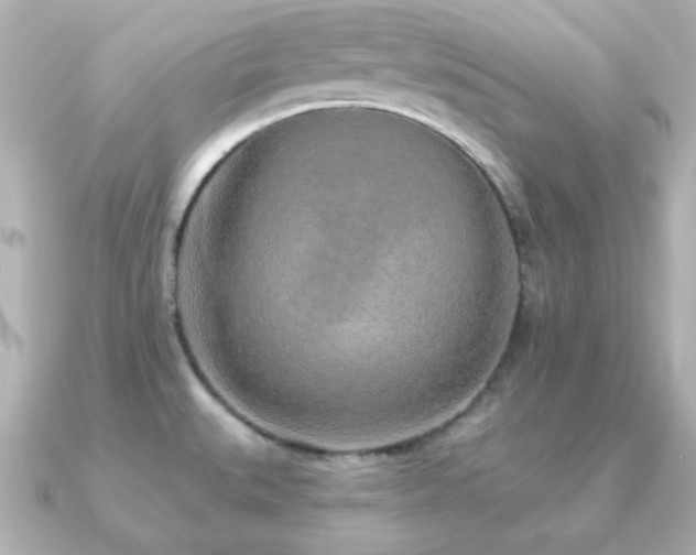 X0000091231527200708091409