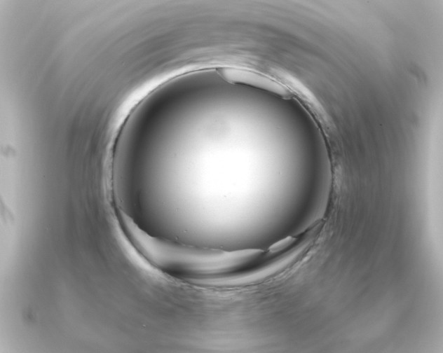 X0000091231528200708091409