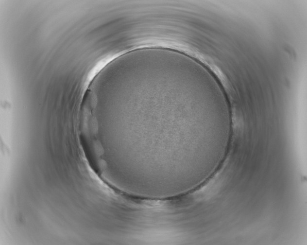 X0000091231529200708091409