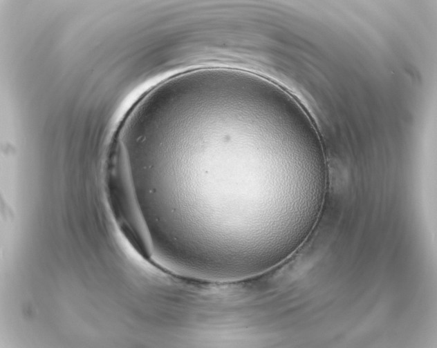 X0000091231531200708091409