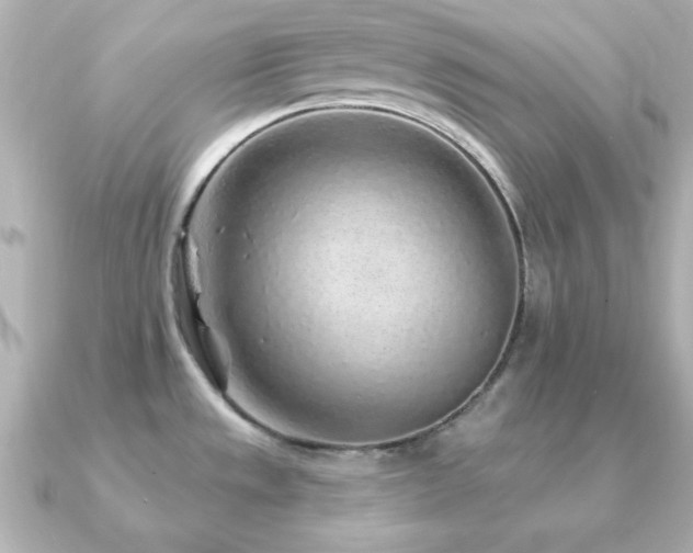 X0000091231533200708091409