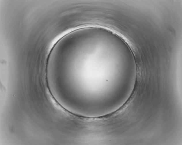 X0000091231534200708091409