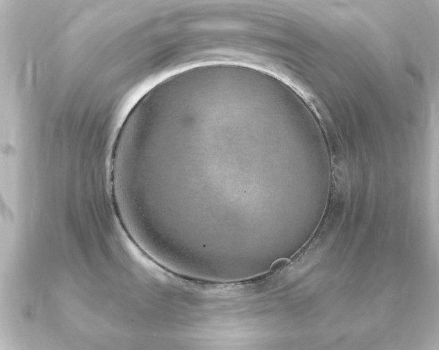 X0000091231535200708091409