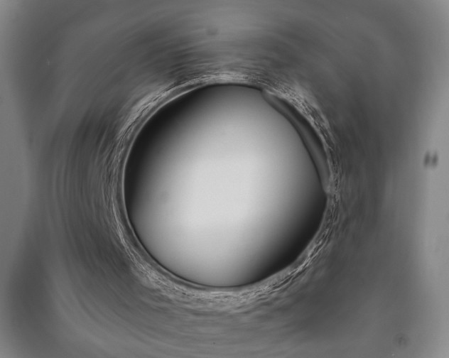 X0000091230001200708161725