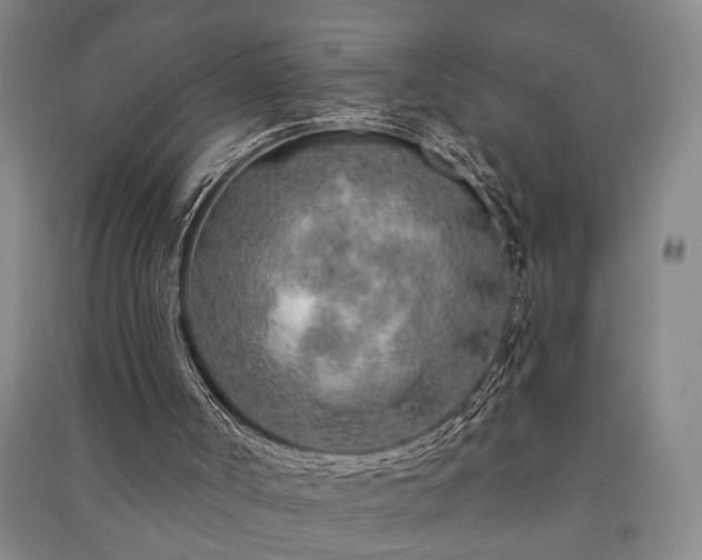 X0000091230002200708161725