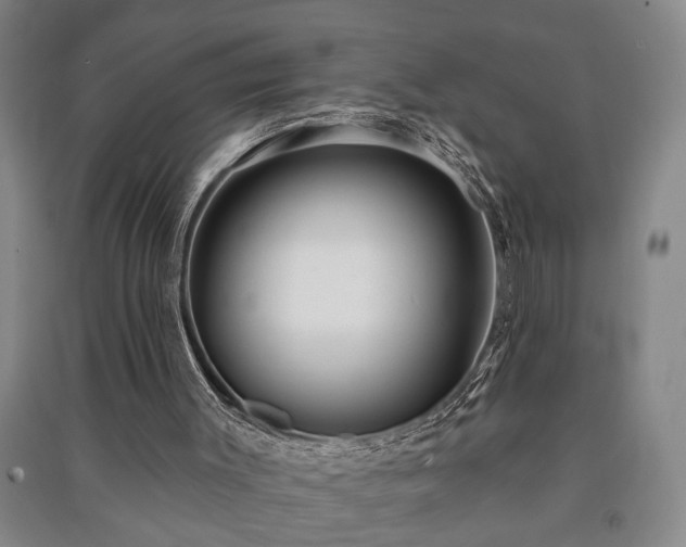 X0000091230003200708161725