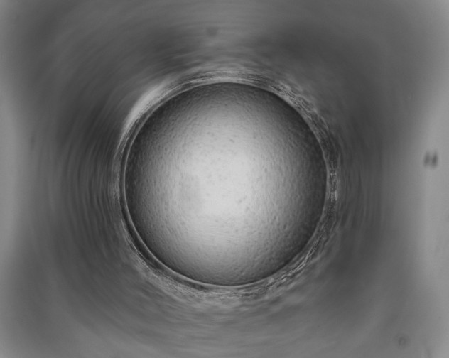 X0000091230004200708161725