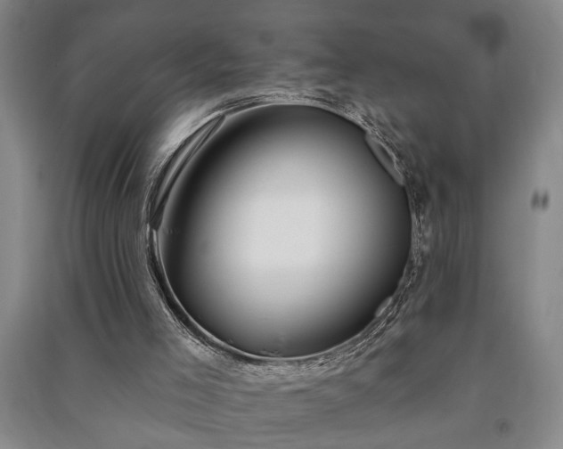 X0000091230005200708161725