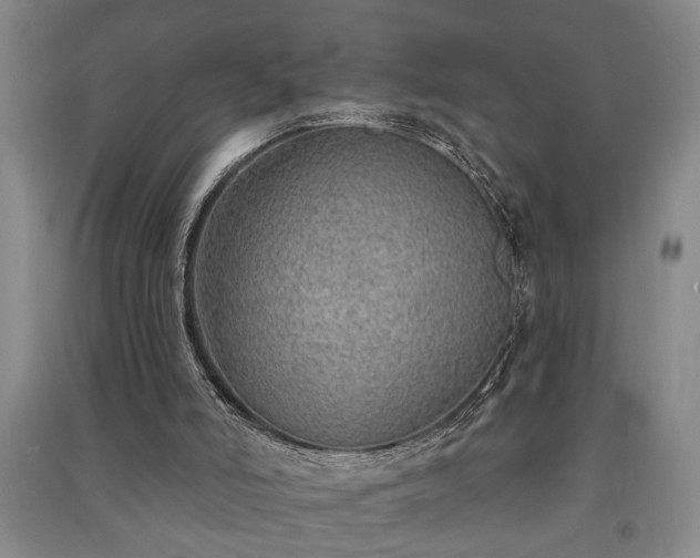 X0000091230006200708161725