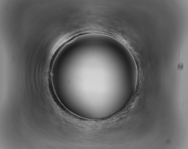 X0000091230007200708161725