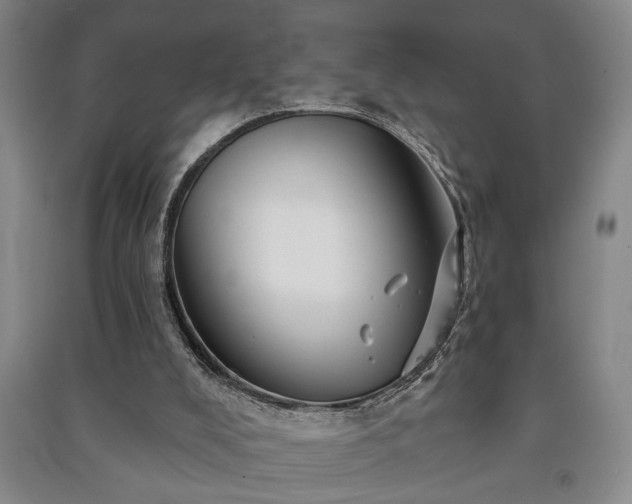 X0000091230008200708161725