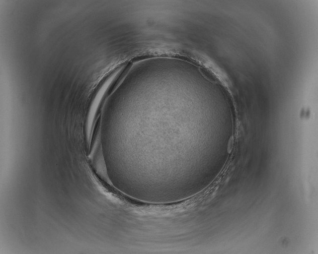 X0000091230009200708161725