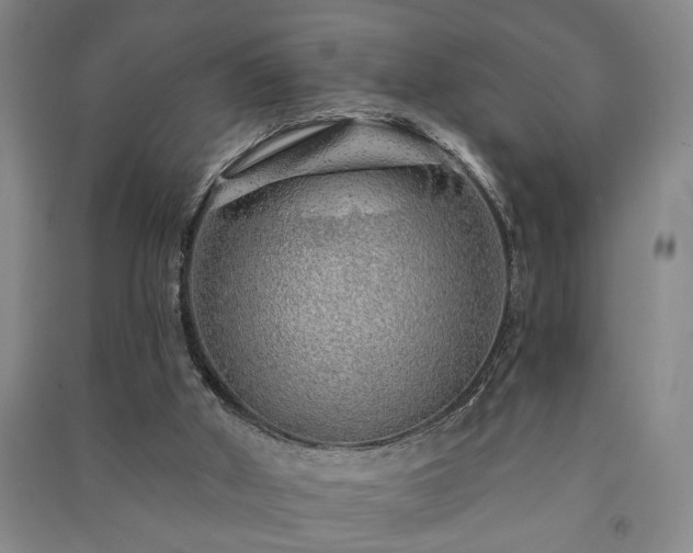 X0000091230010200708161725