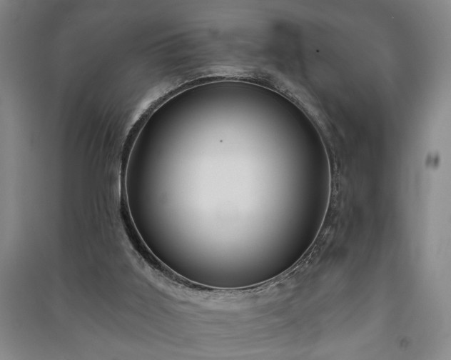 X0000091230011200708161725