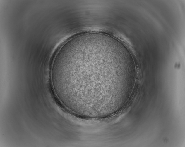 X0000091230012200708161725