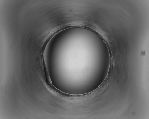 X0000091230013200708161725