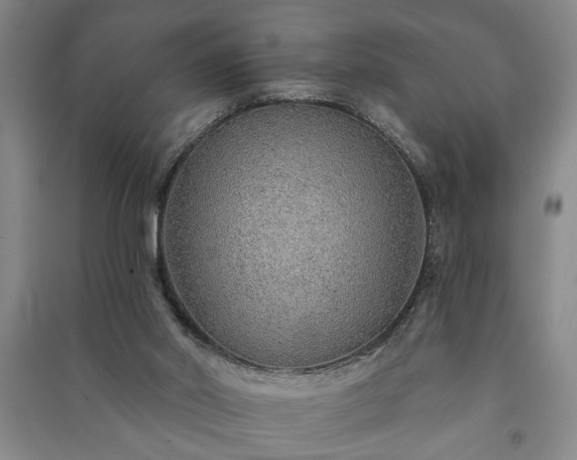 X0000091230014200708161725