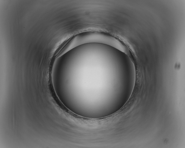 X0000091230015200708161725