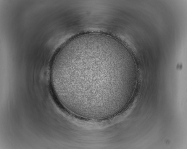 X0000091230016200708161725