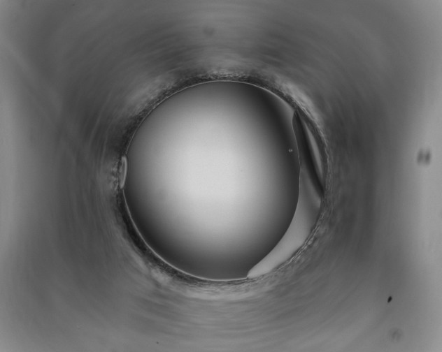 X0000091230017200708161725
