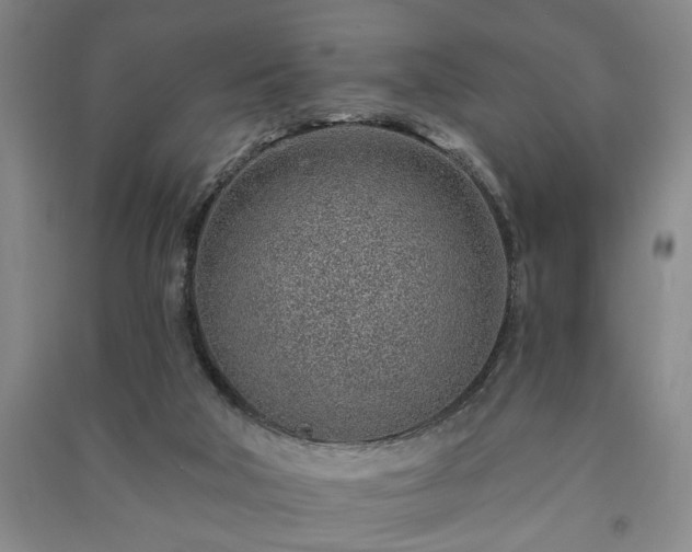 X0000091230018200708161725
