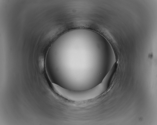 X0000091230021200708161725