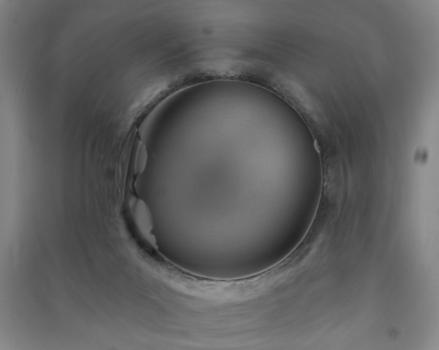 X0000091230023200708161725